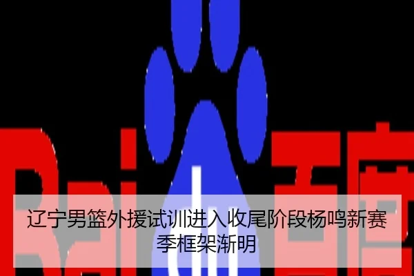 辽宁男篮外援试训进入收尾阶段杨鸣新赛季框架渐明