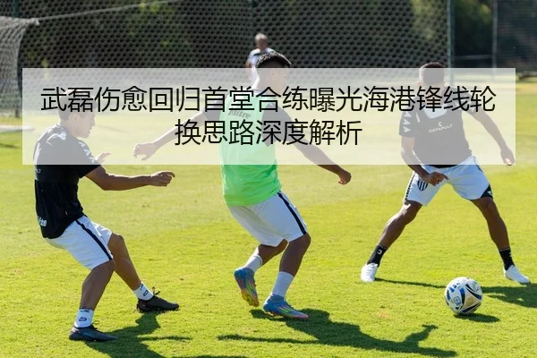 武磊伤愈回归首堂合练曝光海港锋线轮换思路深度解析